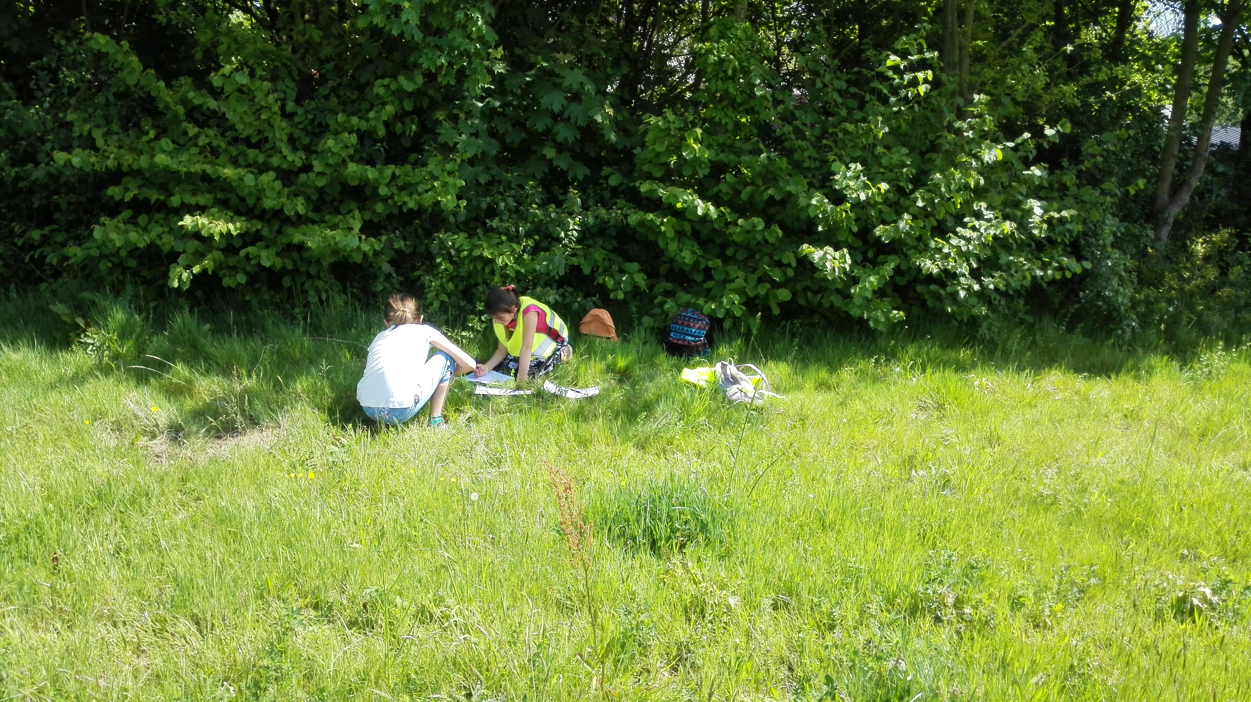 Het vierde leerjaar op onderzoek in de berm!